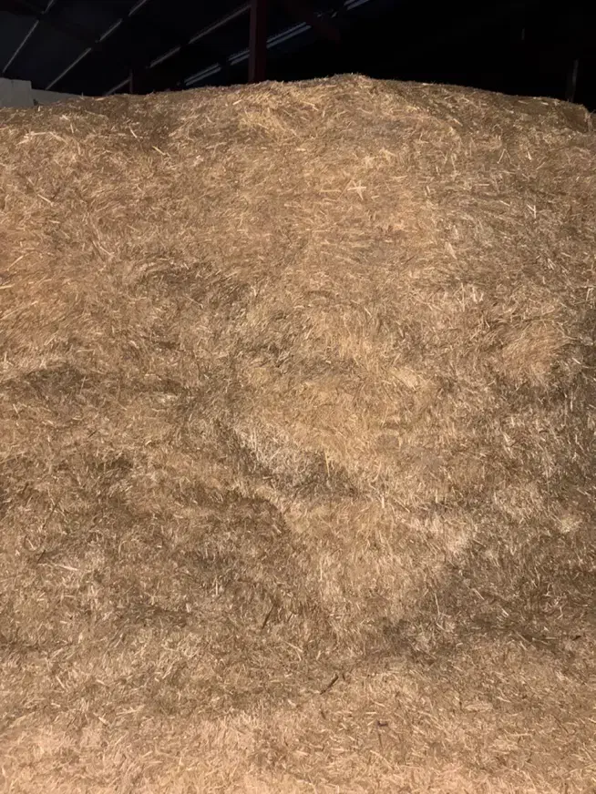 کاه گندم کوفته|لوازم جانبی حیوانات|مرودشت, تخت جمشید|دیوار