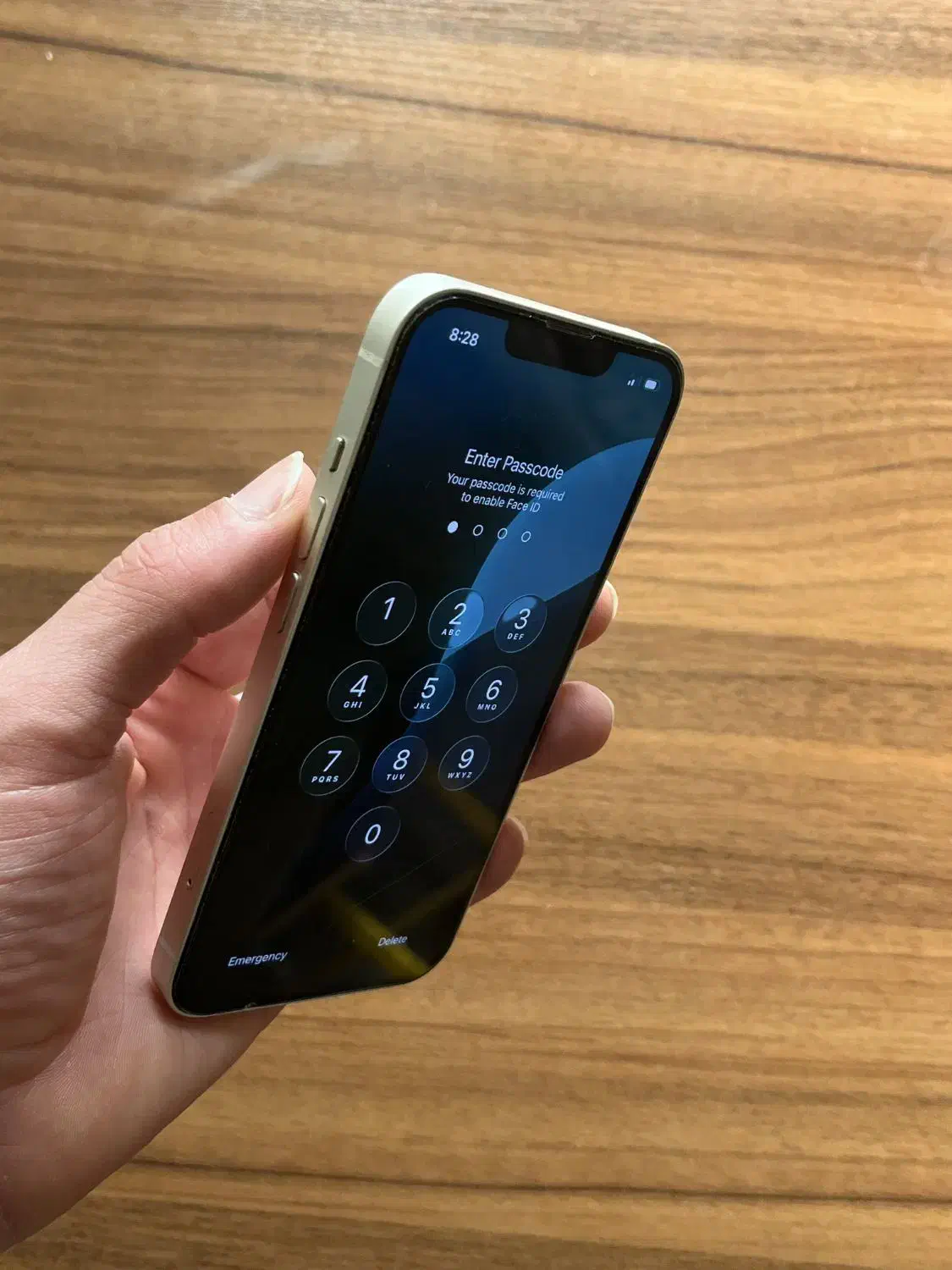 آیفون 13 نرمال|موبایل|ساری, |دیوار