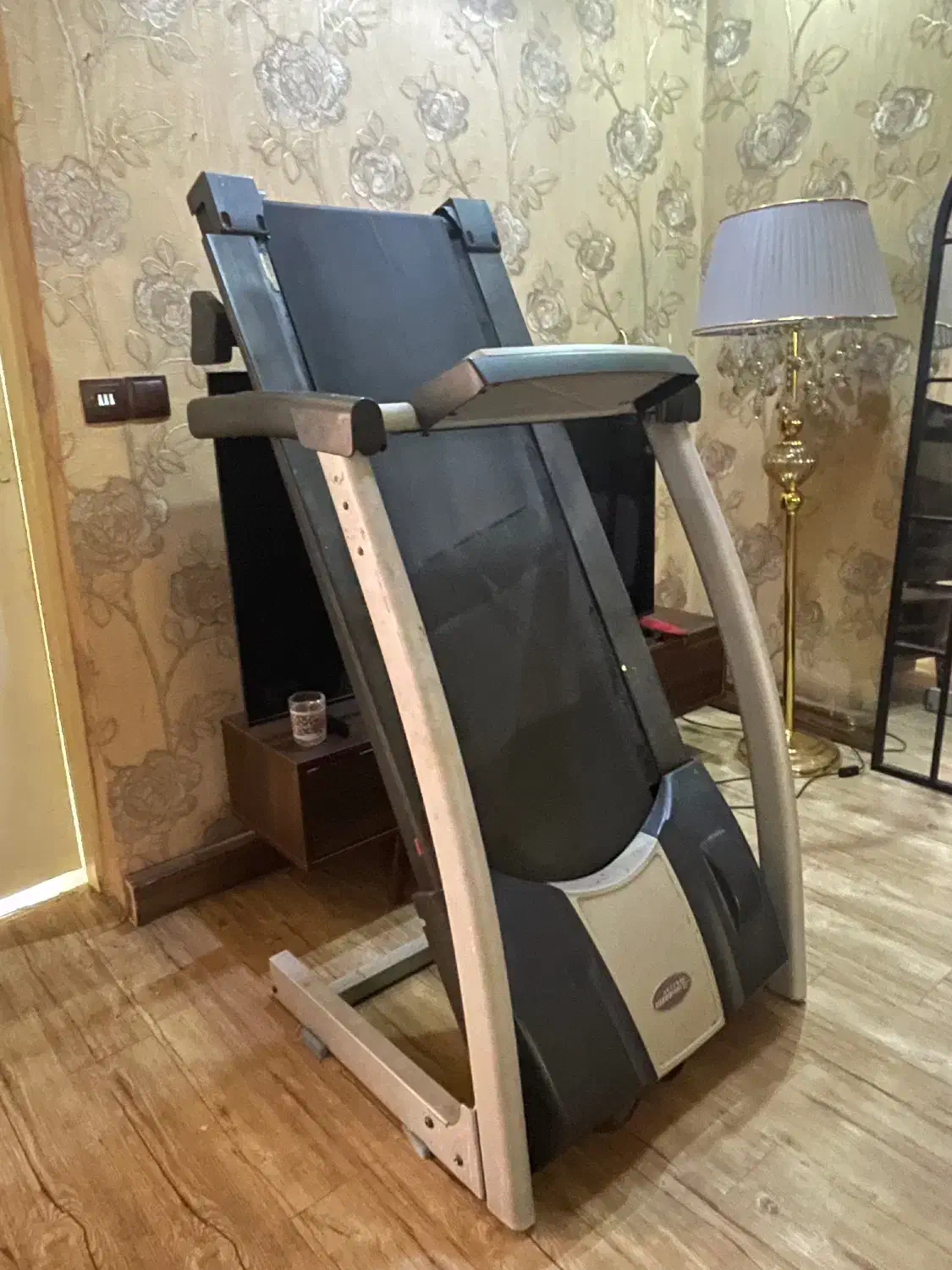 تردمیل|تجهیزات ورزشی|شاهین‌شهر, نظامی|دیوار