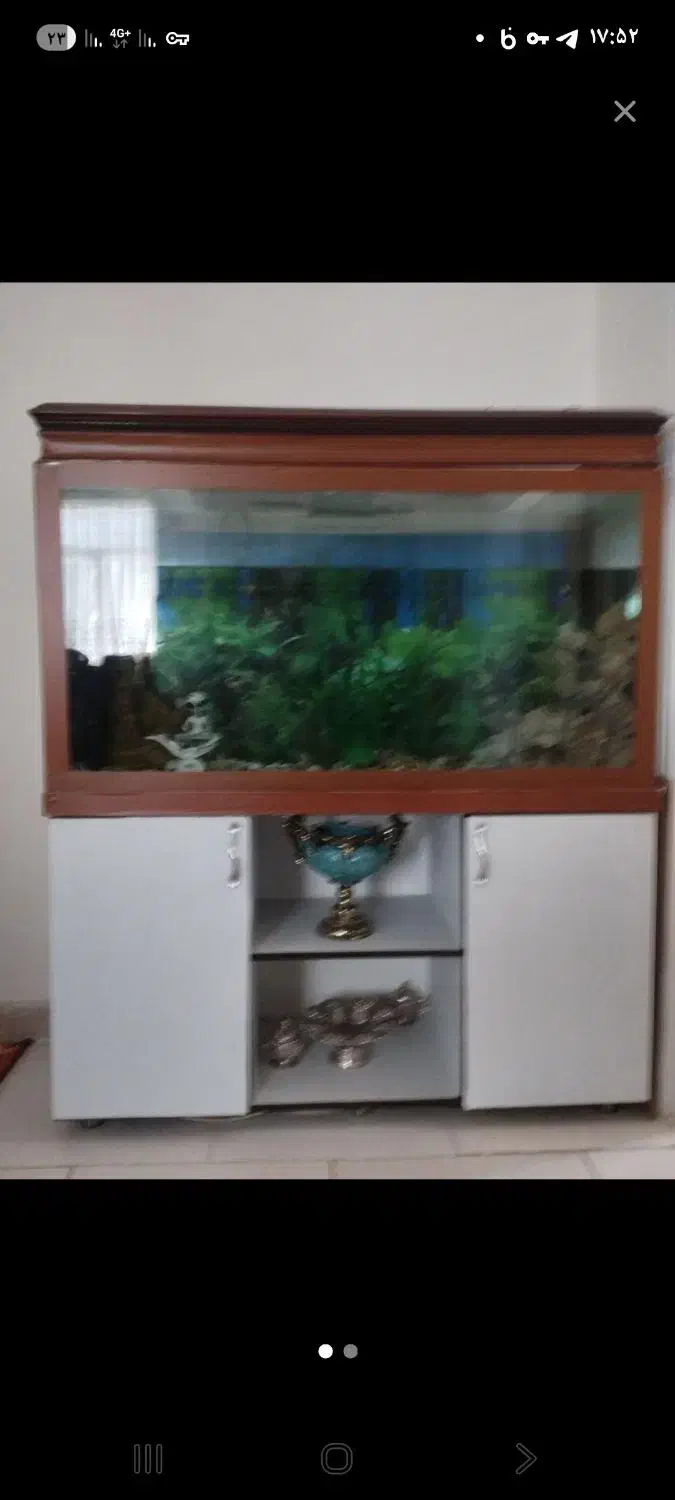 اکواریوم ۱۲۰ سانتی|ماهی|همدان, |دیوار