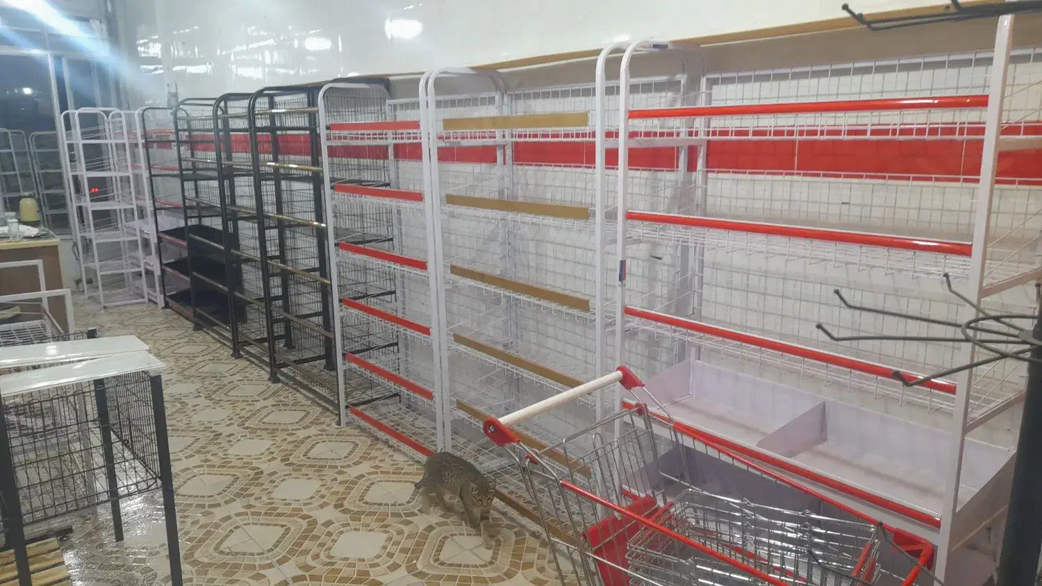 قفسه و استند فروشگاهی|فروشگاه و مغازه|گرگان, |دیوار