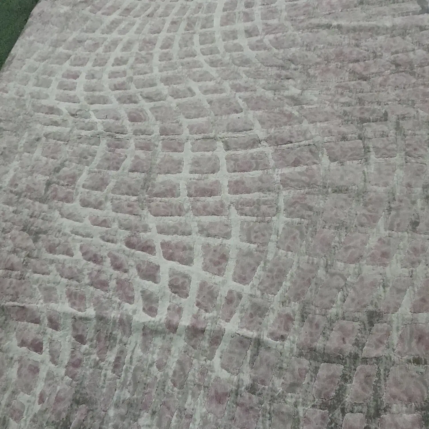 گلیم فرش ۹متری و۴متری|گلیم، جاجیم، گبه|بندرعباس, |دیوار