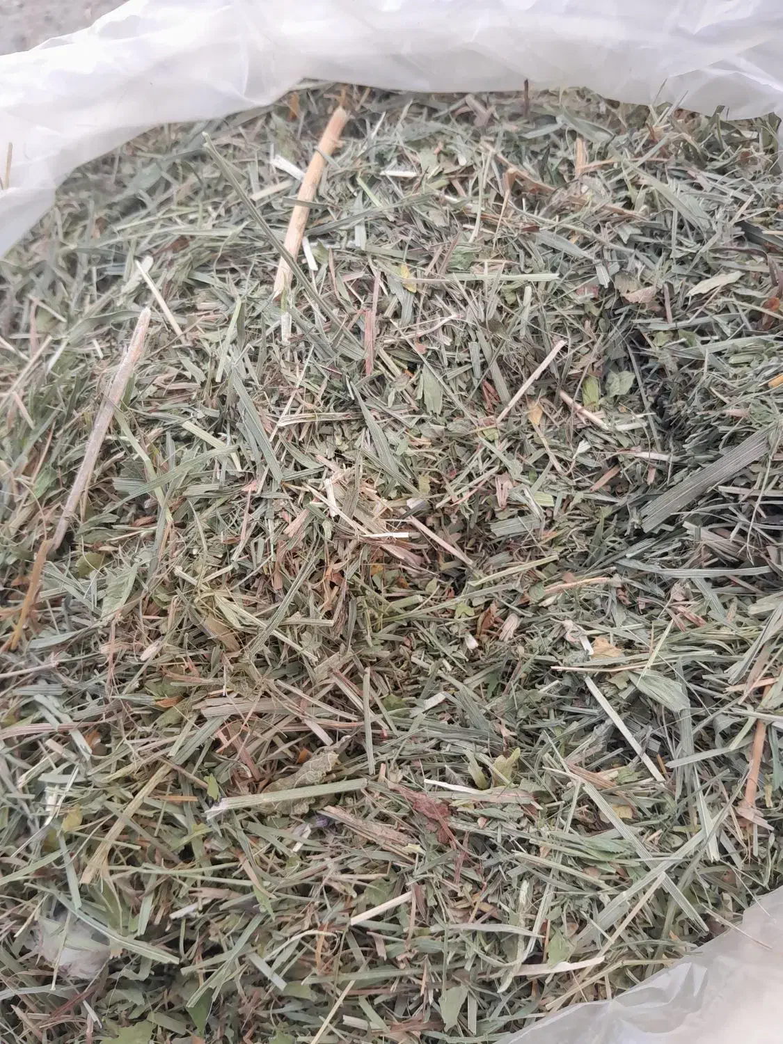 علف همه گیاه|لوازم جانبی حیوانات|دهگلان, |دیوار