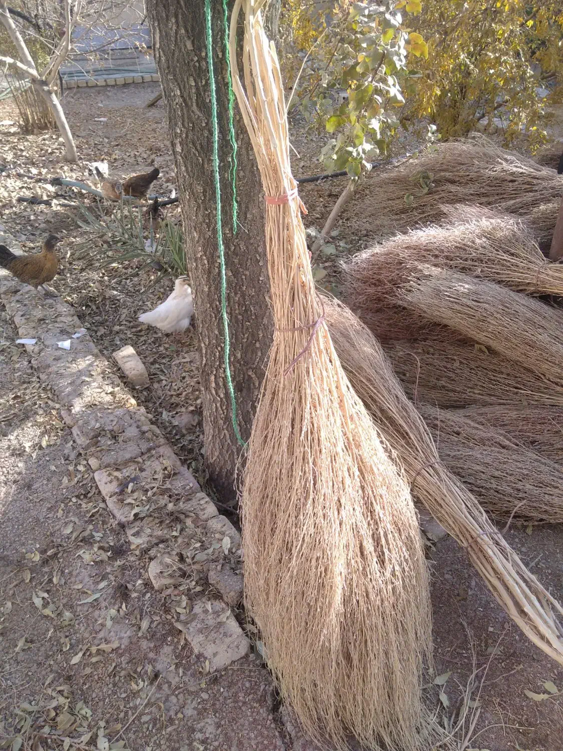 فروش جارو فراشی|عمده‌فروشی|حبیب آباد, |دیوار