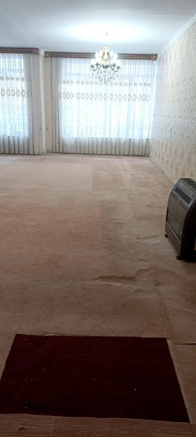 پالاز موکت پذیرایی کرم رنگ|موکت|سلماس, |دیوار