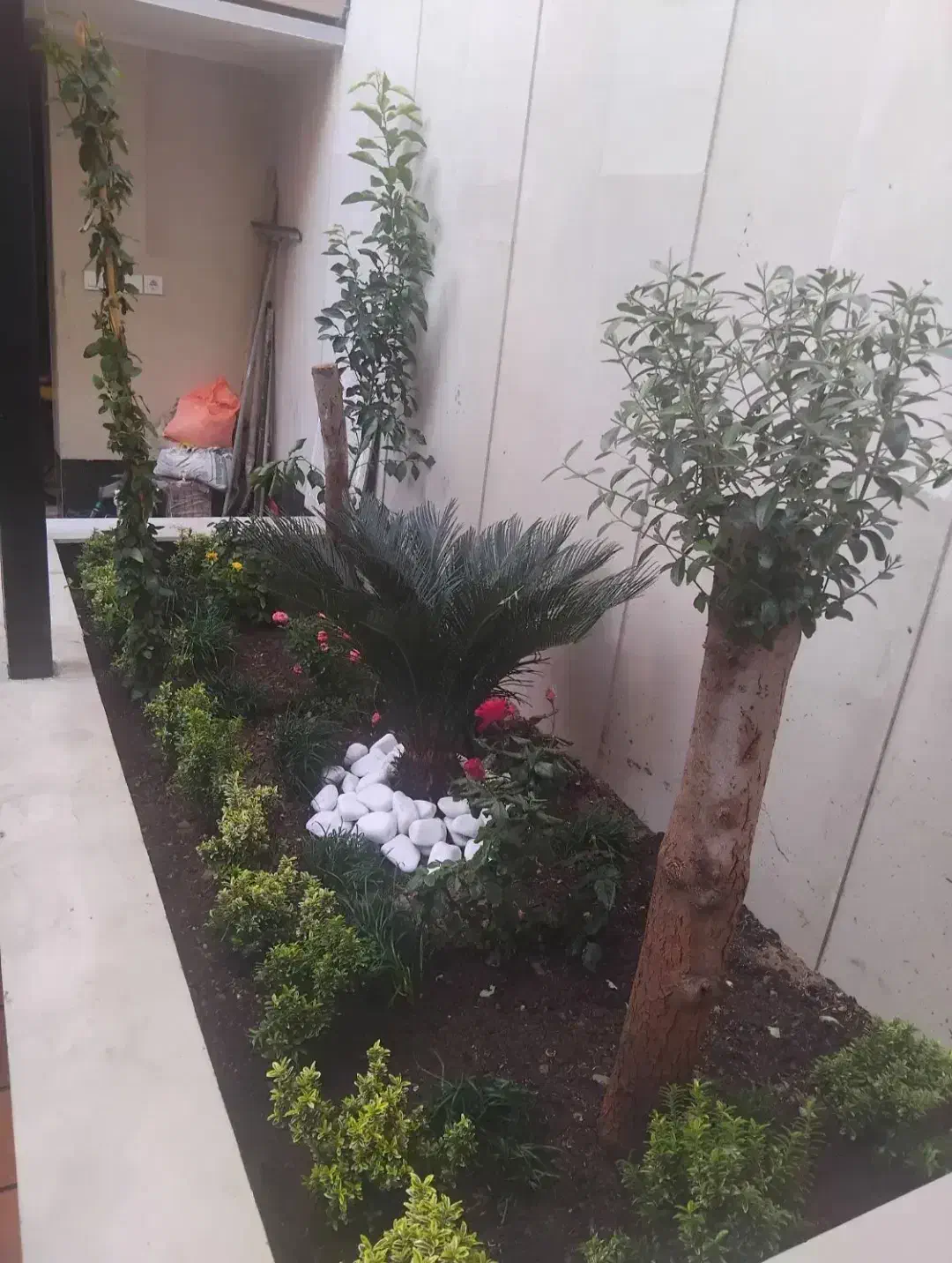 هرس کردن درختان منزل وباغ خودرابه مابسپارید|خدمات باغبانی و درختکاری|شیراز, ارم|دیوار