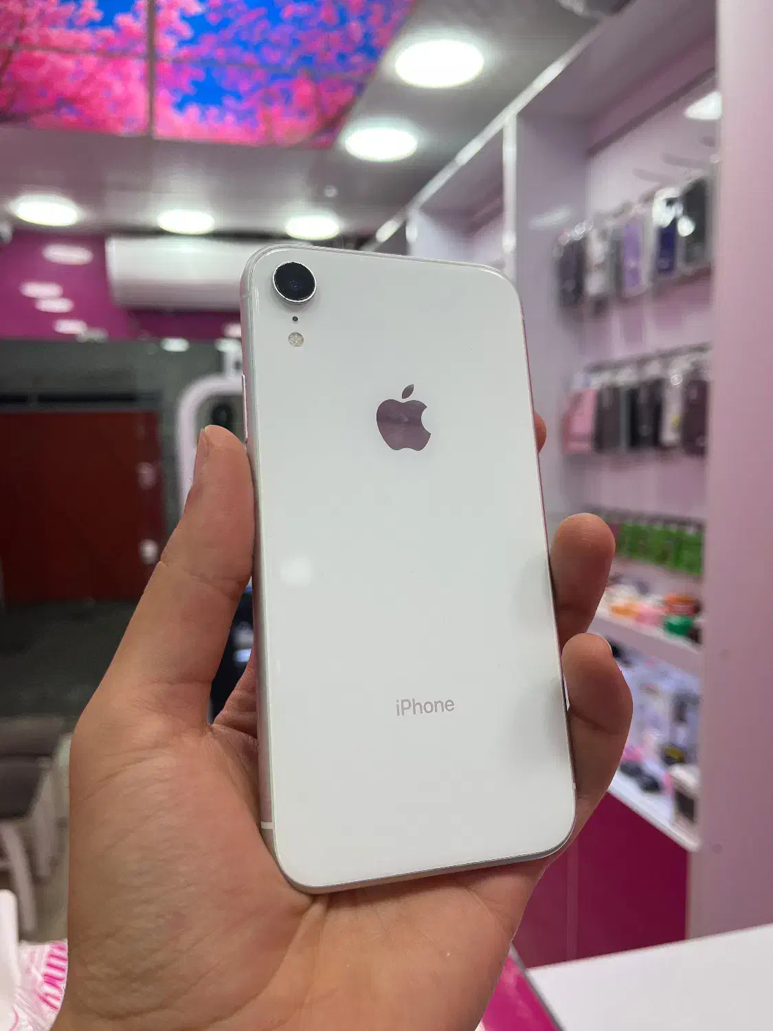 آیفون XR باحافظه۱۲۸گیگ دوسیم (اقصاط باچک صیاد)|موبایل|رشت, فلسطین|دیوار