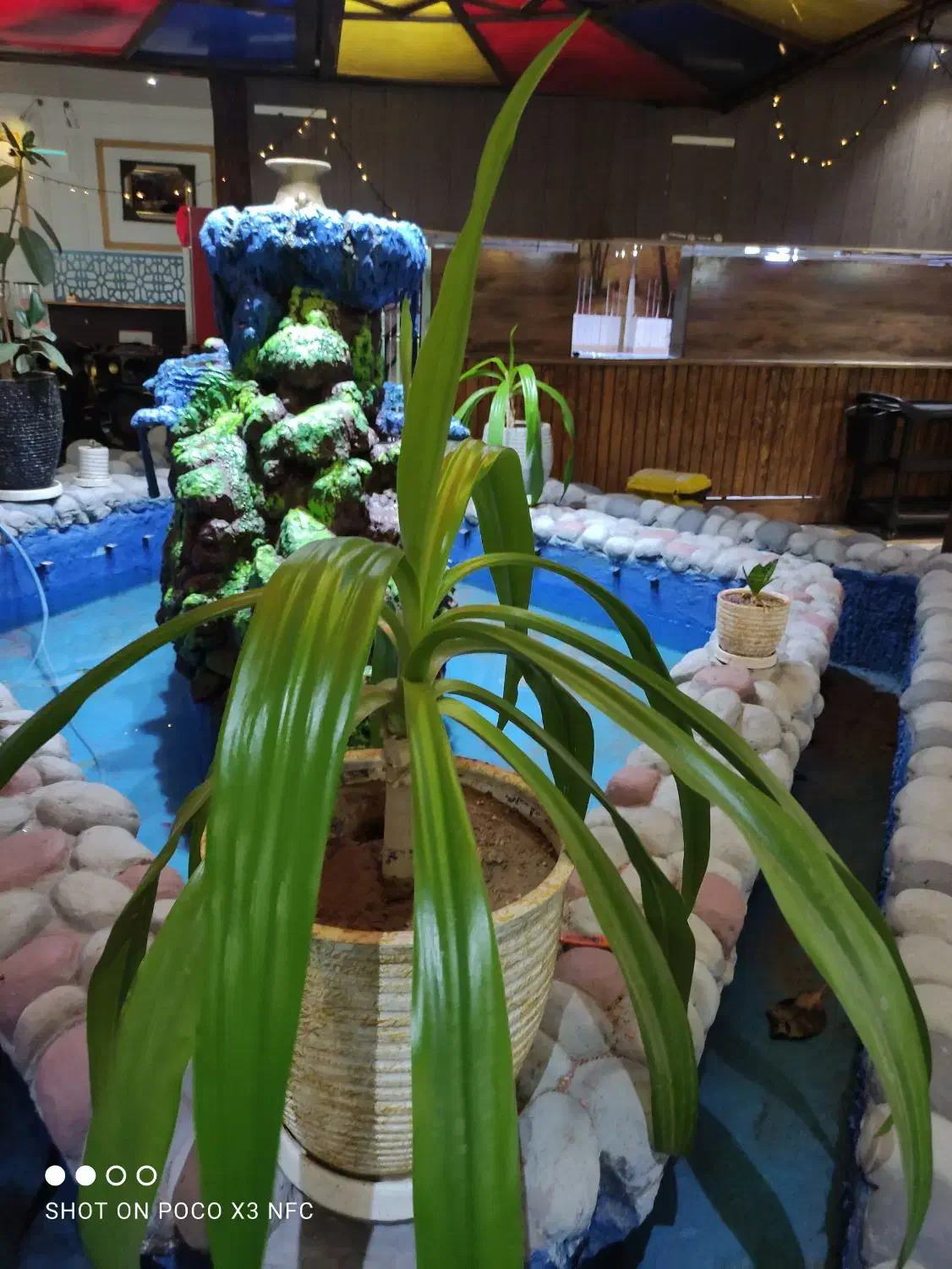 فروش کامل تجهیزات کافه رستوران|کافی‌شاپ و رستوران|استهبان, |دیوار