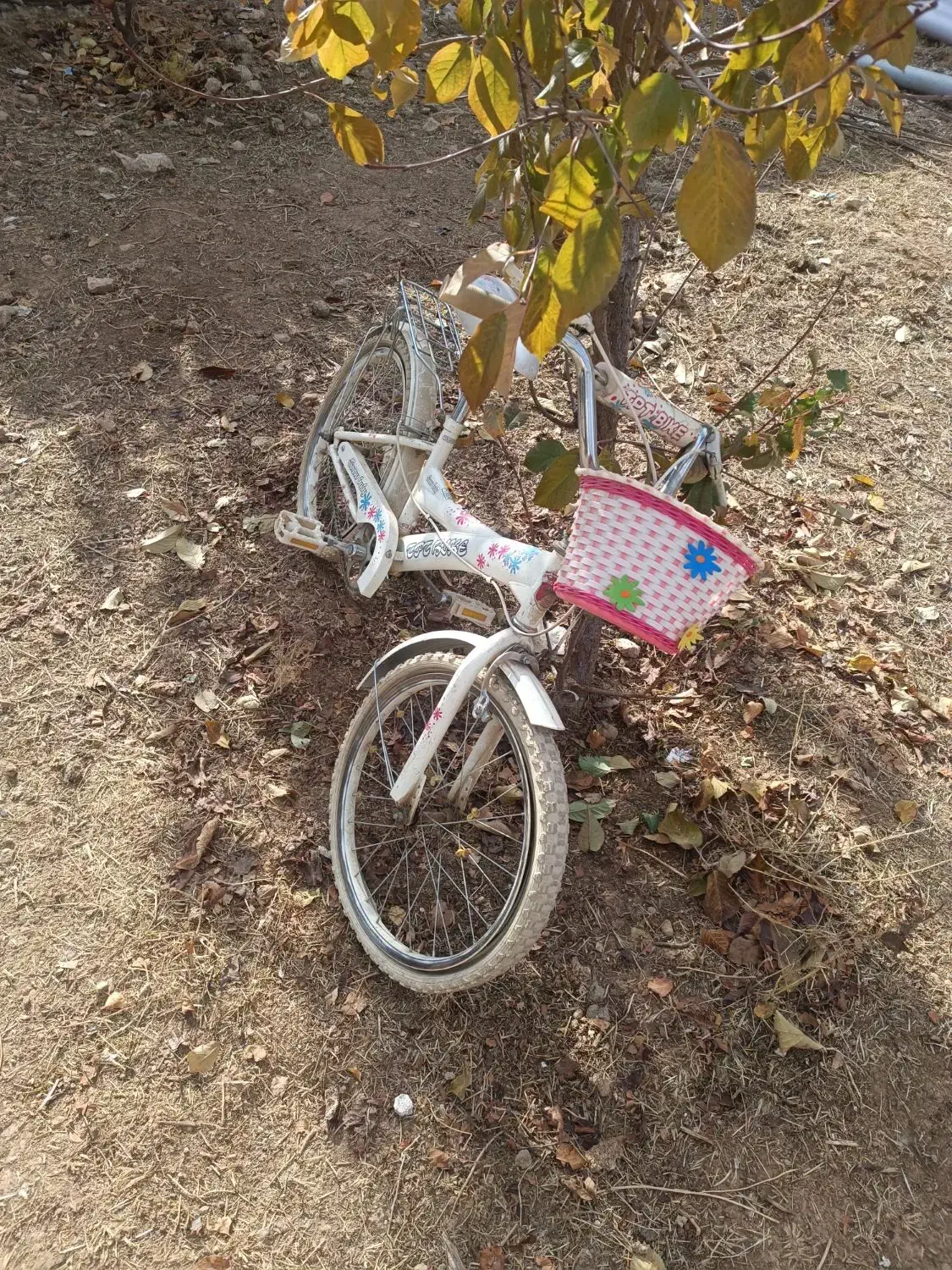 دوچرخه ۲۰|دوچرخه، اسکیت، اسکوتر|چرداول, |دیوار