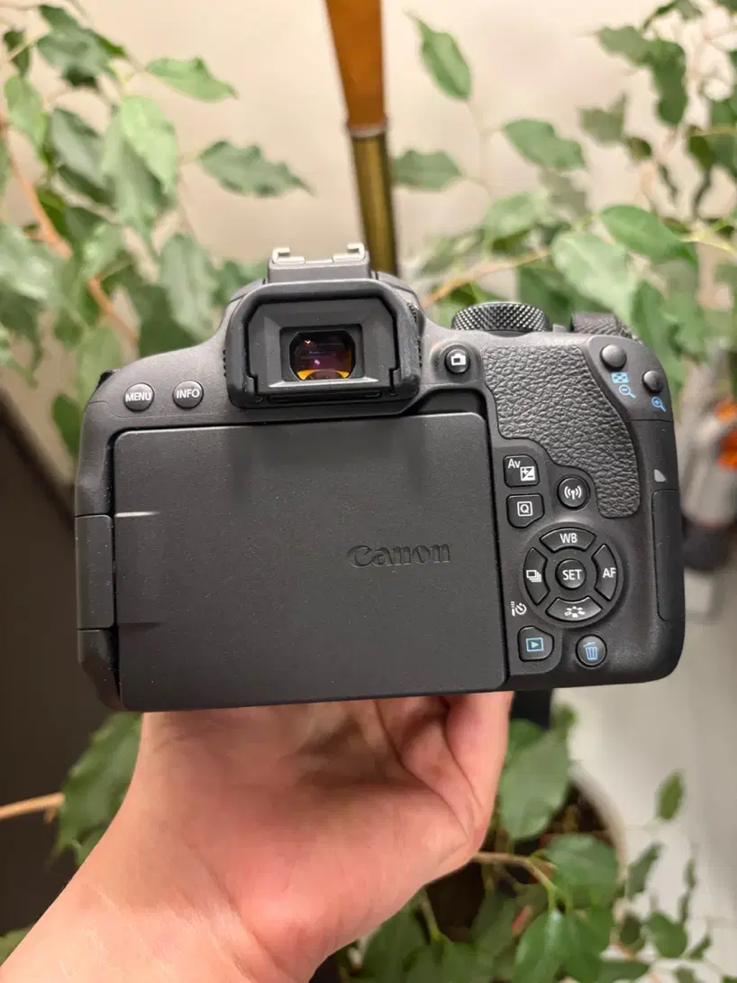 Canon800d /18-55|دوربین عکاسی و فیلم‌برداری|تهران, باشگاه نفت|دیوار
