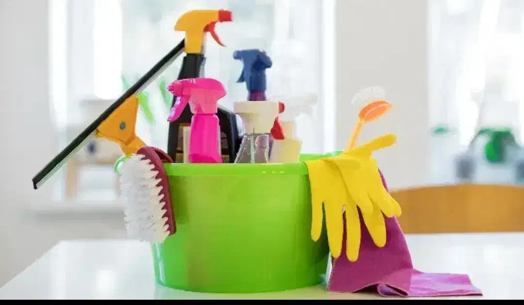 کار پاره وقت|خدمات نظافت|گنبد کاووس, |دیوار