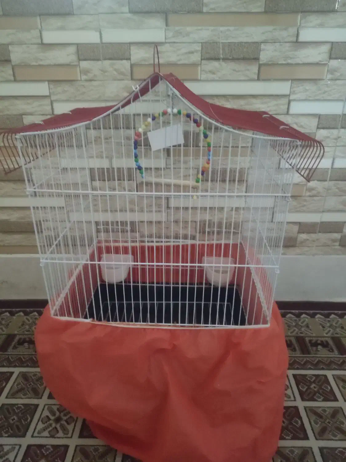 فروش قفس طوطی و عروس هلندی|لوازم جانبی حیوانات|ملایر, |دیوار