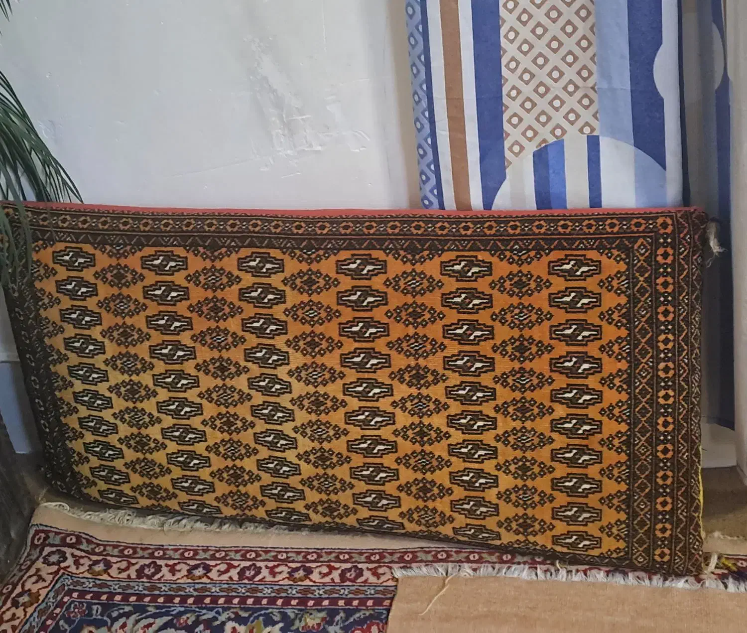 پشتی|پشتی|گرگان, |دیوار