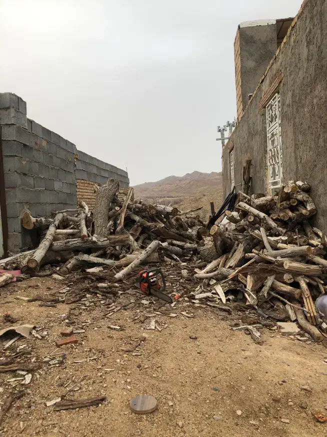 پوشال نجاری، خاک اره،نرمه چوب،چوب هیزمی،خرده چوب|خدمات باغبانی و درختکاری|یزد, |دیوار