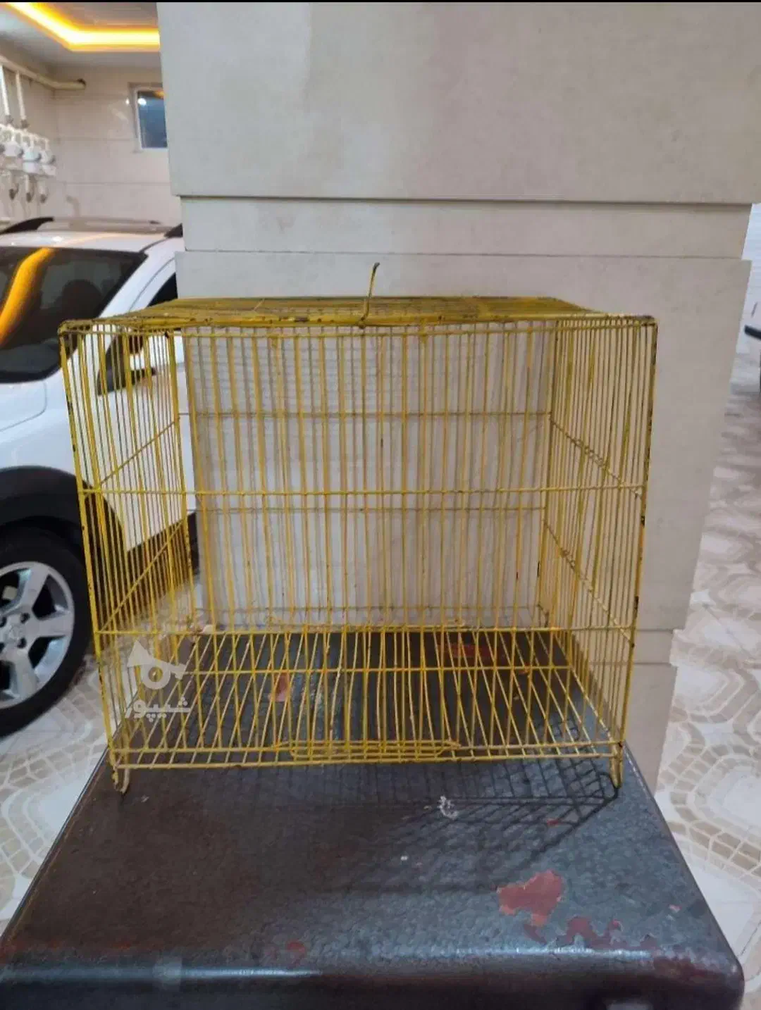 قفس سالم و بدون مشکل قیمت کم زدم زود فروش بره|لوازم جانبی حیوانات|بوکان, |دیوار
