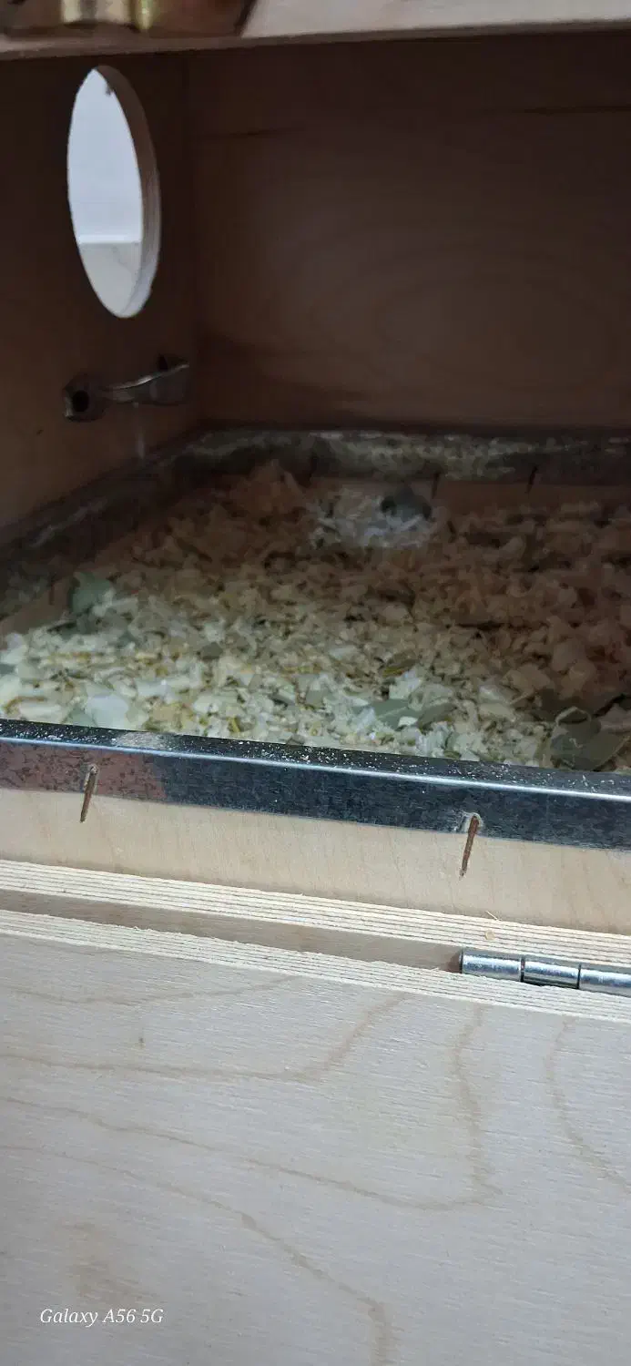 لانه چوب روس عروس|لوازم جانبی حیوانات|میبد, |دیوار