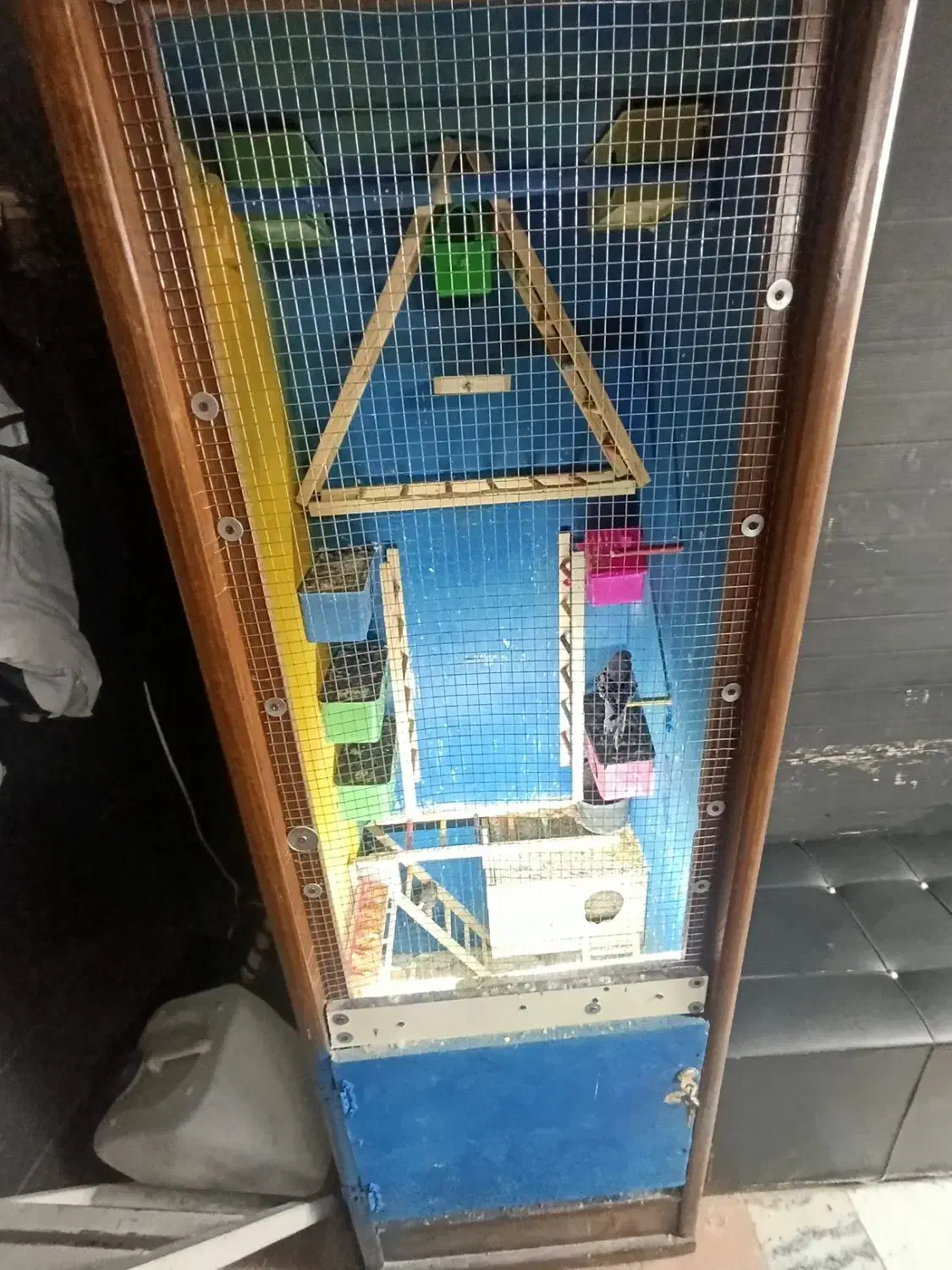 قفس چوبی دست ساز|لوازم جانبی حیوانات|مشکیندشت, |دیوار