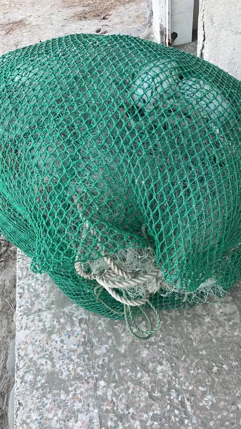 جل و طناب وینج‌لنج موتور ۴۰۵|ابزارآلات|سیریک, |دیوار