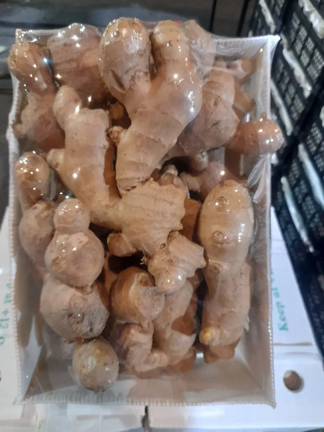 پخش عمده زنجبیل و زرد چوبه به قیمت میدان تره بار|عمده‌فروشی|شیراز, عادل آباد|دیوار