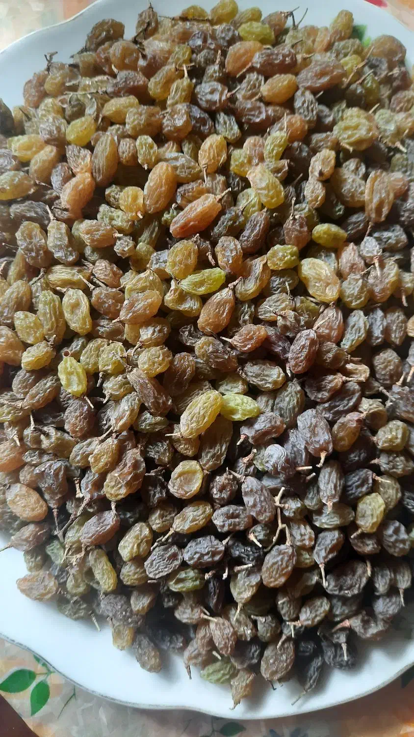 سایه خشک|خوردنی و آشامیدنی|ملایر, |دیوار