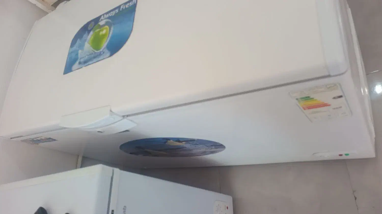 دو عدد فریزر صندوقی 300لیتری XLINE|فروشگاه و مغازه|فورگ, |دیوار