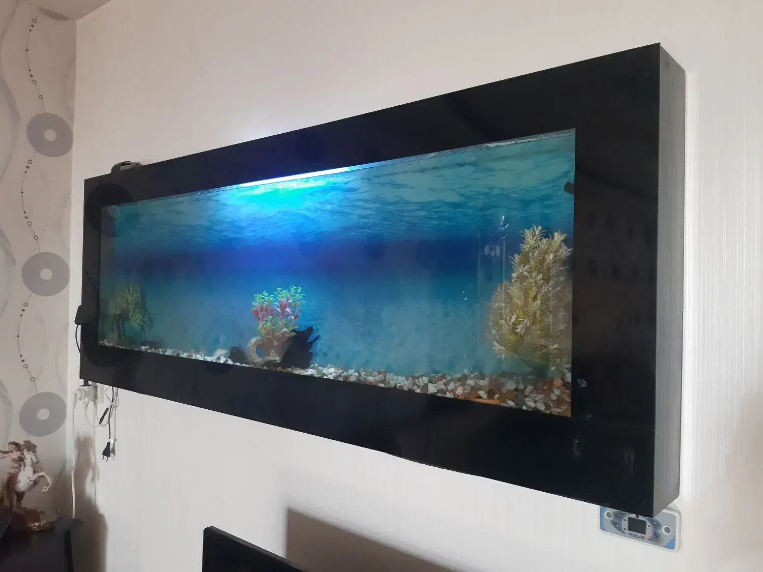 آکواریوم دیواری|ماهی|پیر بکران, |دیوار