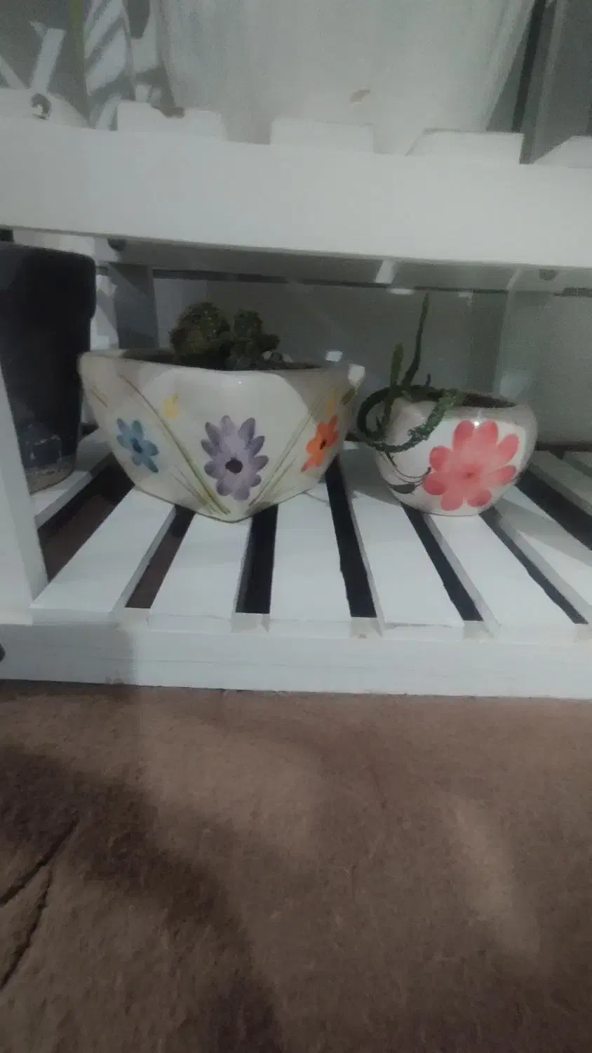 استند وگل وگلدان|گل و گیاه طبیعی|سرپل ذهاب, |دیوار