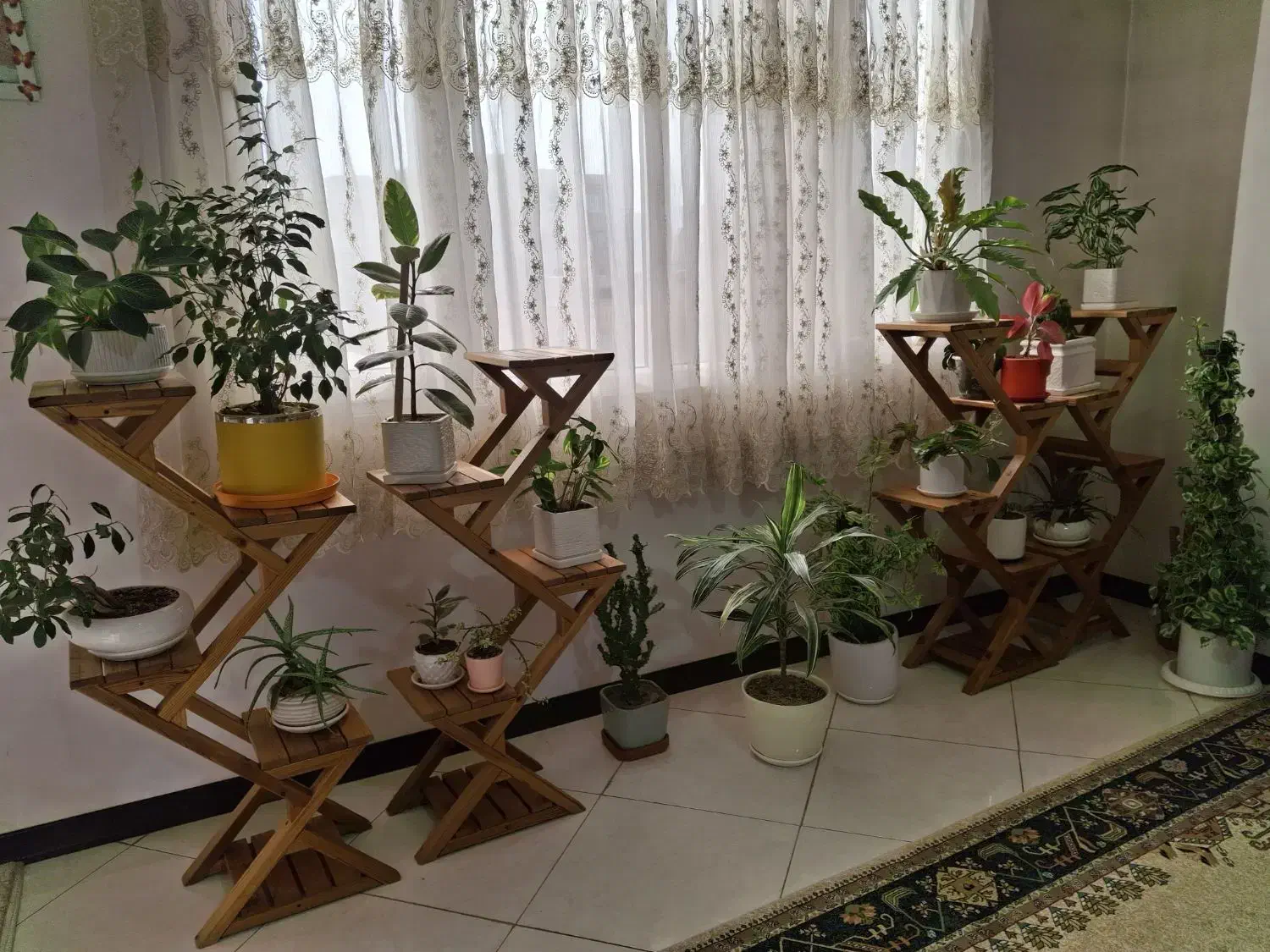 گل و گلدان با ۴ عدد استند چوب روس|گل و گیاه طبیعی|فردیس, شهرک ارم|دیوار