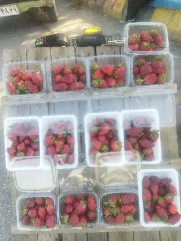 فروشی|عمده‌فروشی|اندیمشک, |دیوار