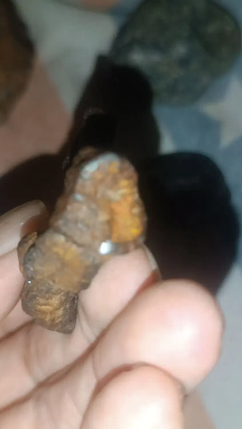 سنک قیمتی|کلکسیون اشیاء عتیقه|چرداول, |دیوار