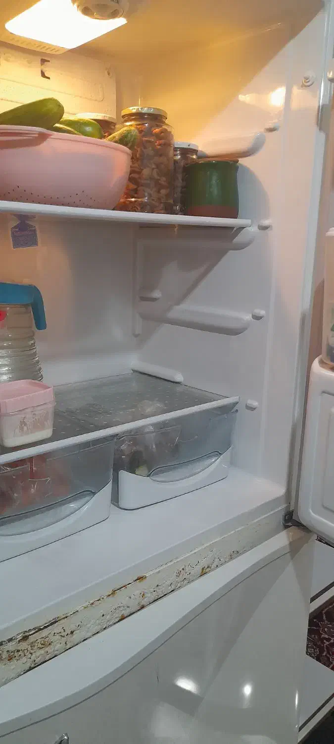 . یخجال|یخچال و فریزر|تبریز, |دیوار