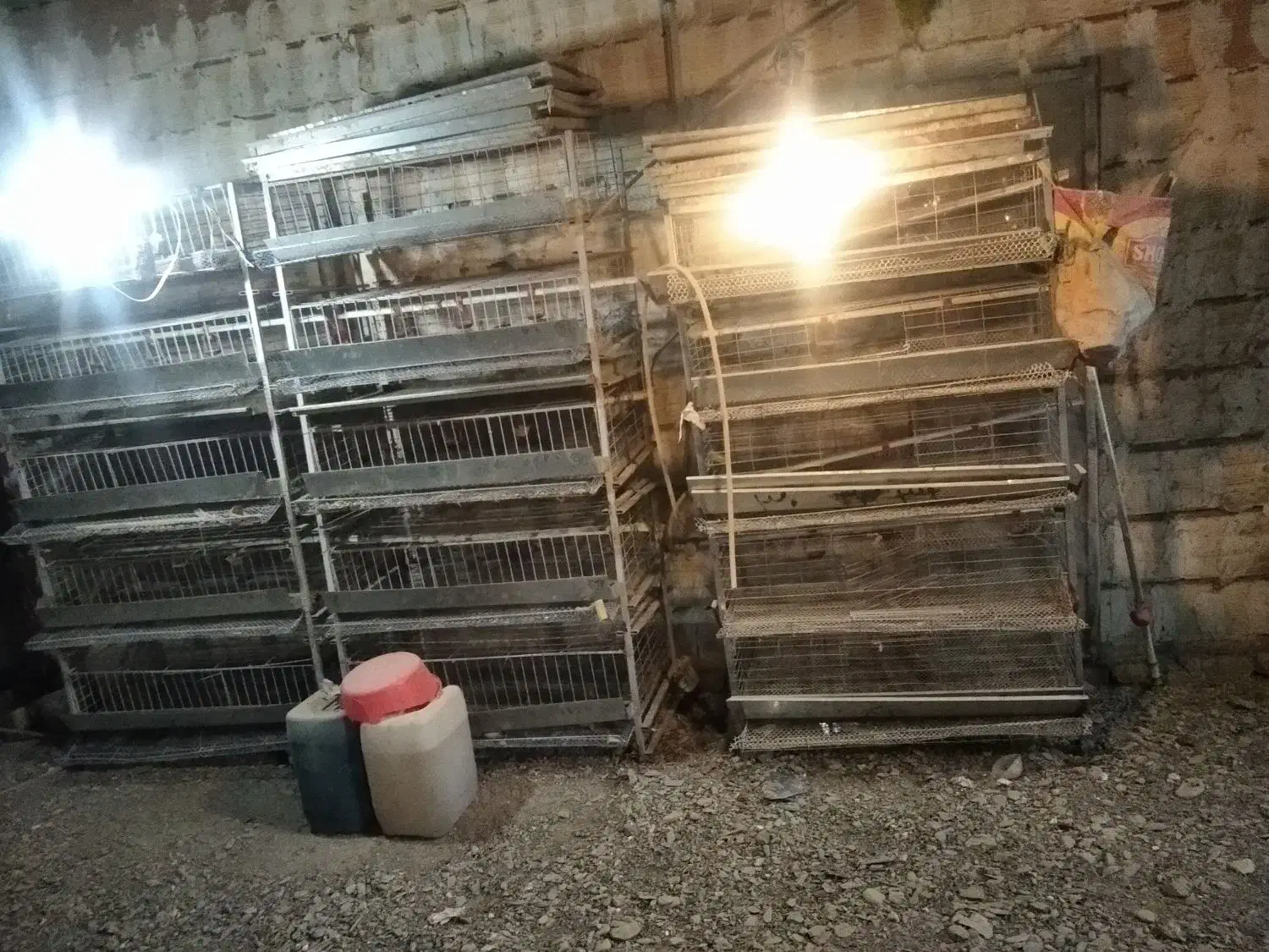 قفس بلدرچین تخم گذار|لوازم جانبی حیوانات|طرقبه, |دیوار