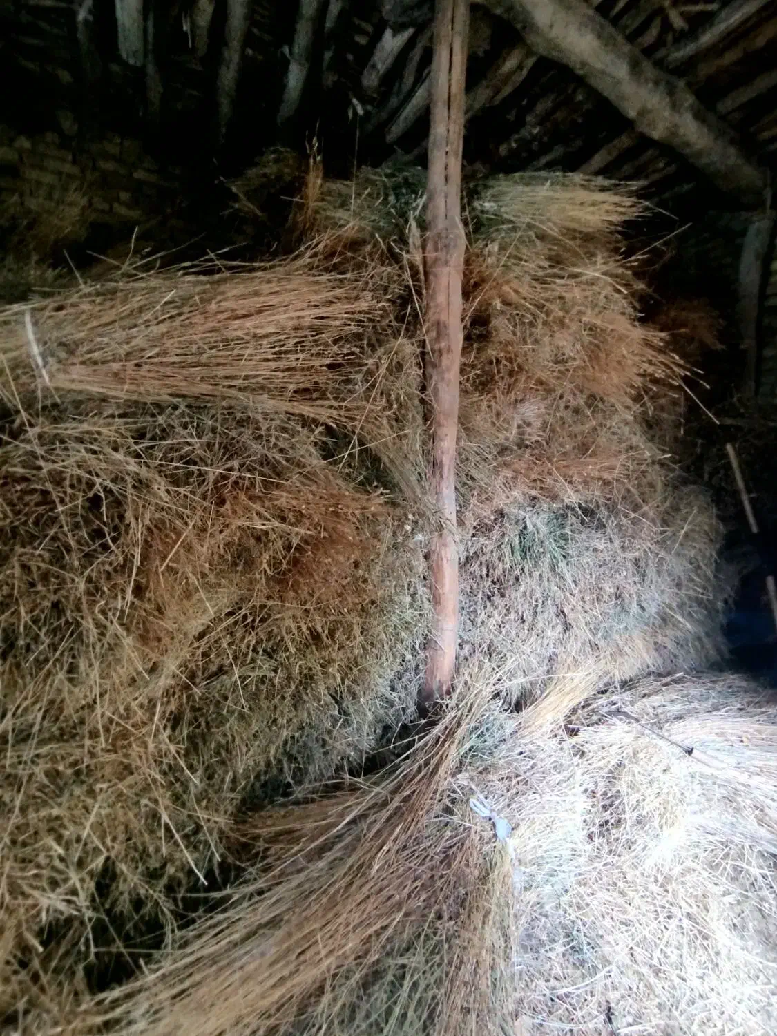 علف خشک|لوازم جانبی حیوانات|ایجرود, |دیوار