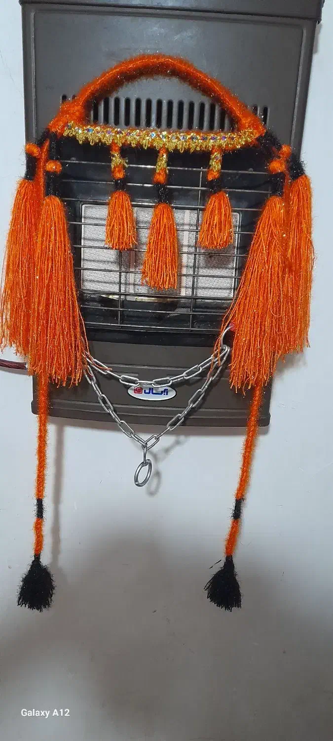 اسب|اسب و تجهیزات اسبسواری|حمیدیه, |دیوار