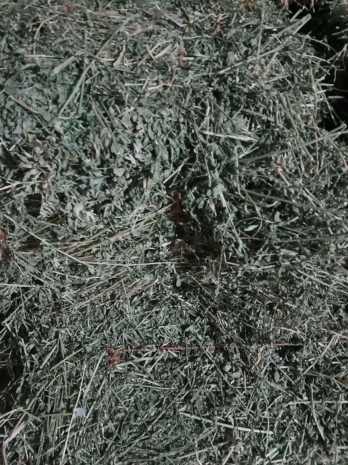 سیلوعلوفه‌پردان|لوازم جانبی حیوانات|دشتابی, |دیوار