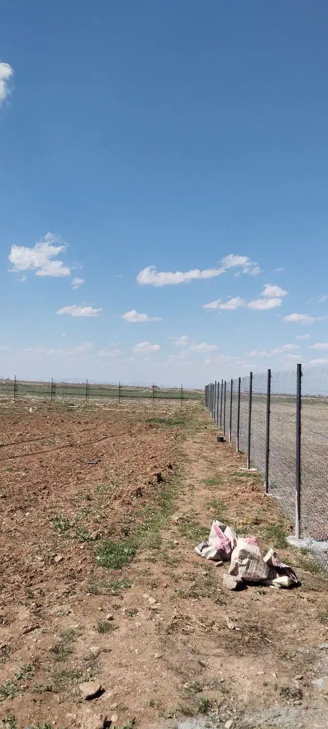 فنس کشی|خدمات باغبانی و درختکاری|همدان, |دیوار