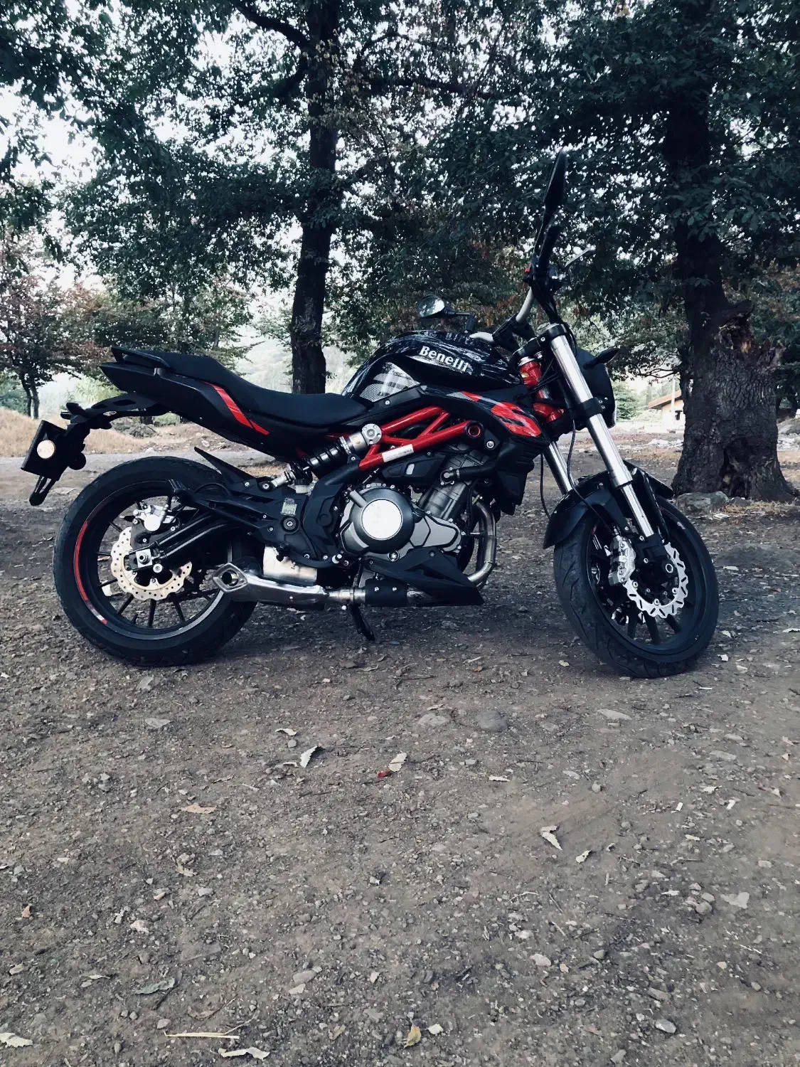 بنلی 300|موتورسیکلت|گنبد کاووس, |دیوار