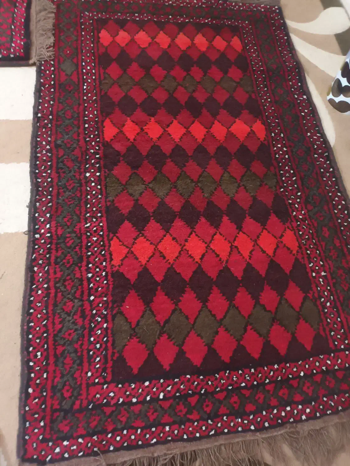 قالیچه دستبافت پشم پا نخورده ۴ و۲ متری به قیمت منا|فرش|زاهدان, |دیوار