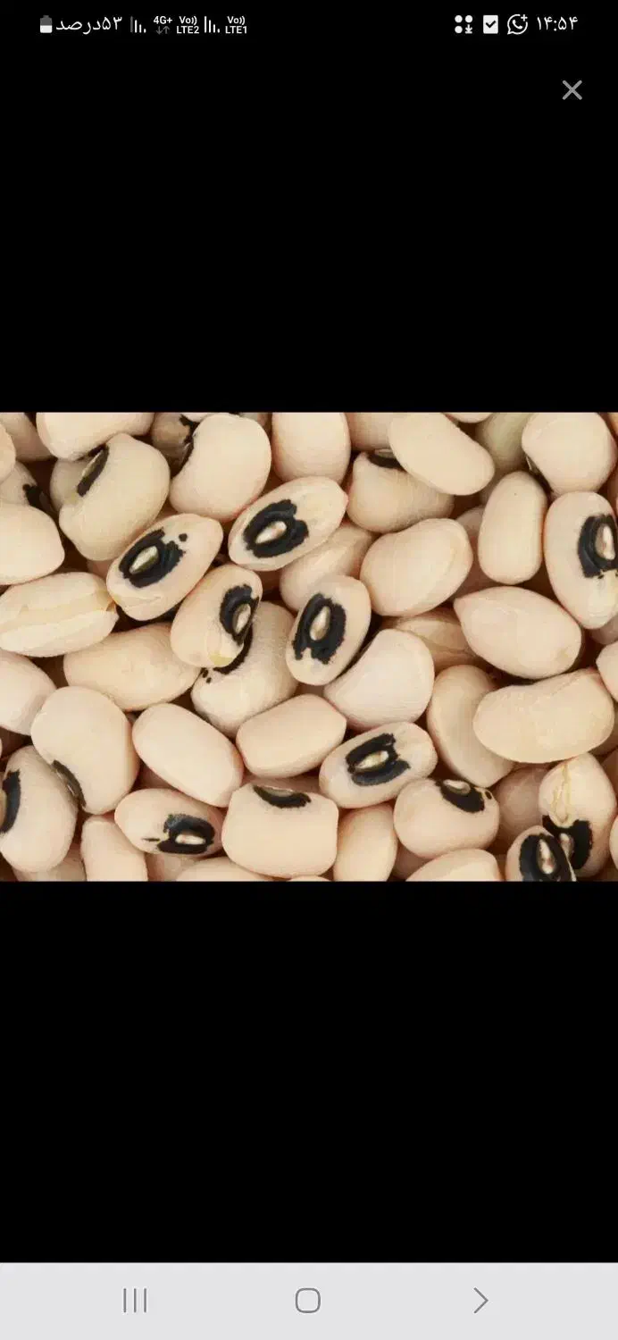 لوبیا چشم بلبی بشرط درجه یک|خوردنی و آشامیدنی|اهواز, کیانشهر|دیوار