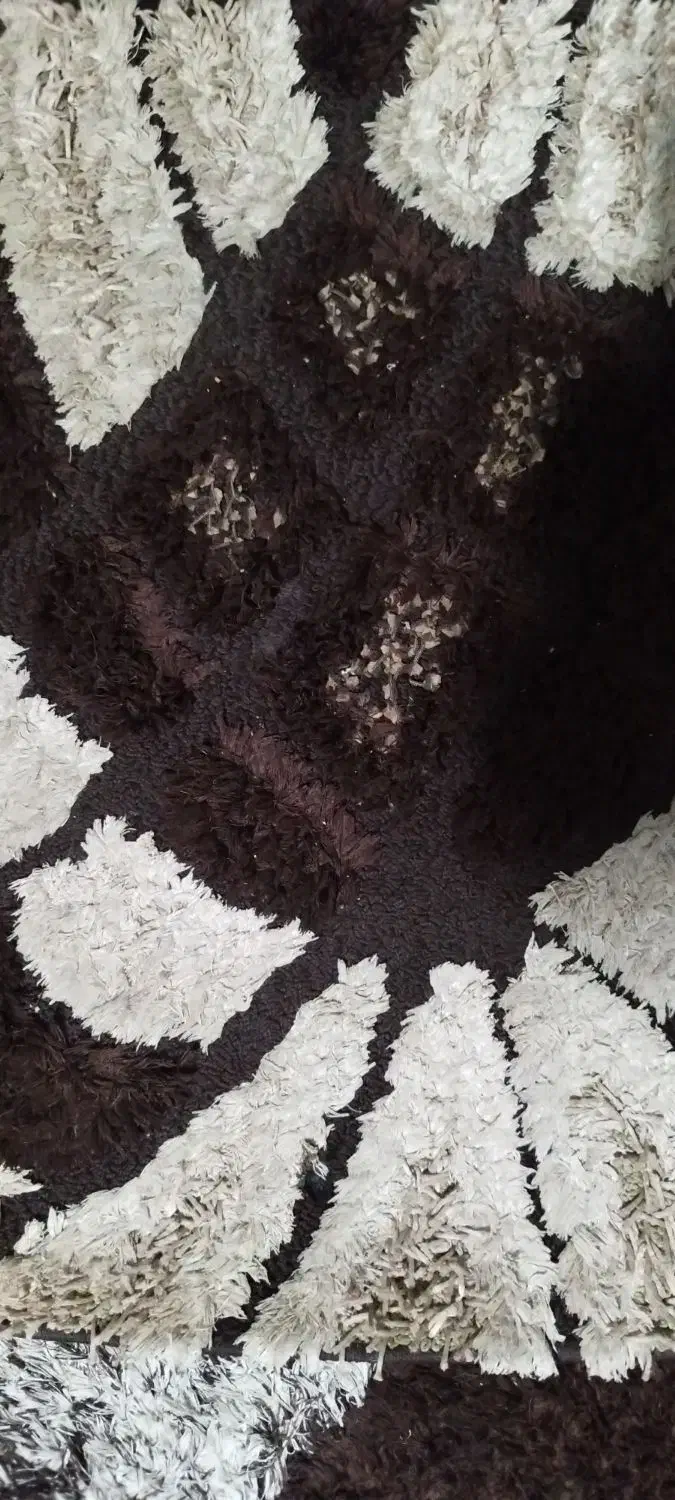 فرش شش متری|فرش|بندر انزلی, ساحل قو|دیوار