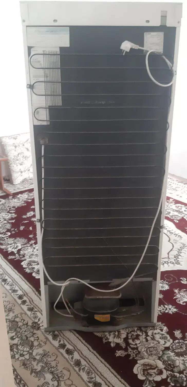 فیلور|یخچال و فریزر|فسا, |دیوار