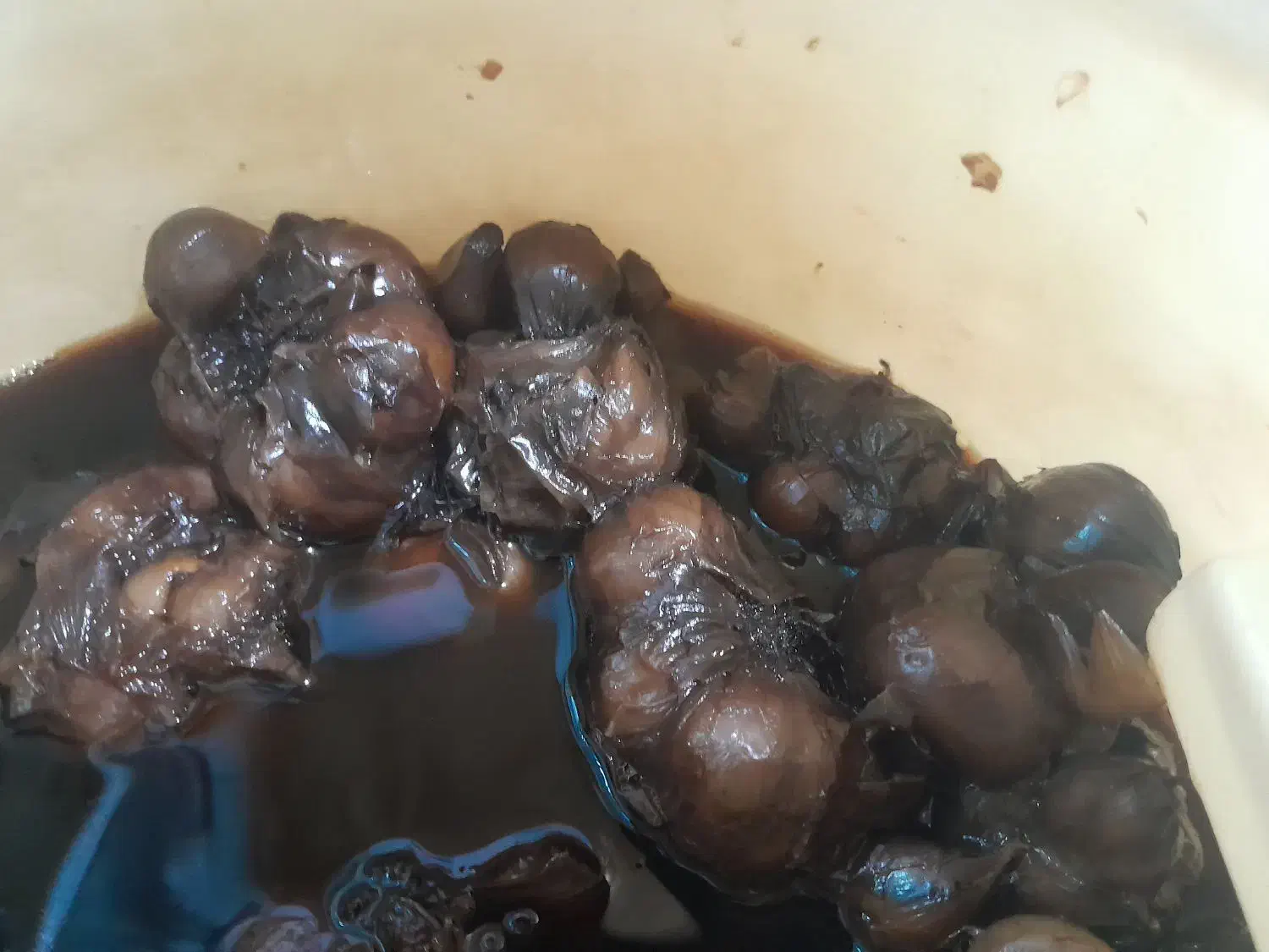 سیر ترشی ۷ ساله درجه یک|عمدهفروشی|اردل, |دیوار