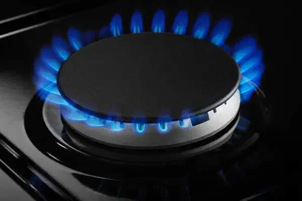 تعمیر اجاق گاز و آبگرمکن  و بخاری گازی|خدمات پیشه و مهارت|بوشهر, |دیوار