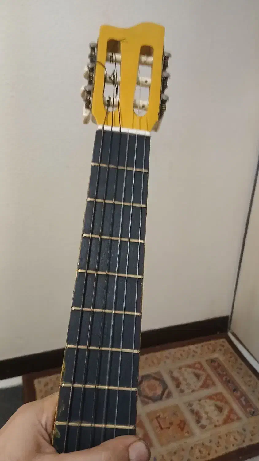 گیتار golden cup|گیتار، بیس، امپلیفایر|شاهین‌شهر, فردوسی|دیوار