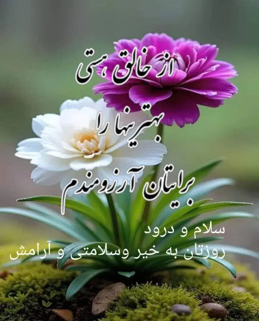 ح و ص ل ه ن دا رم|فعالیت داوطلبانه تحقیقاتی|اهواز, کیانپارس |دیوار