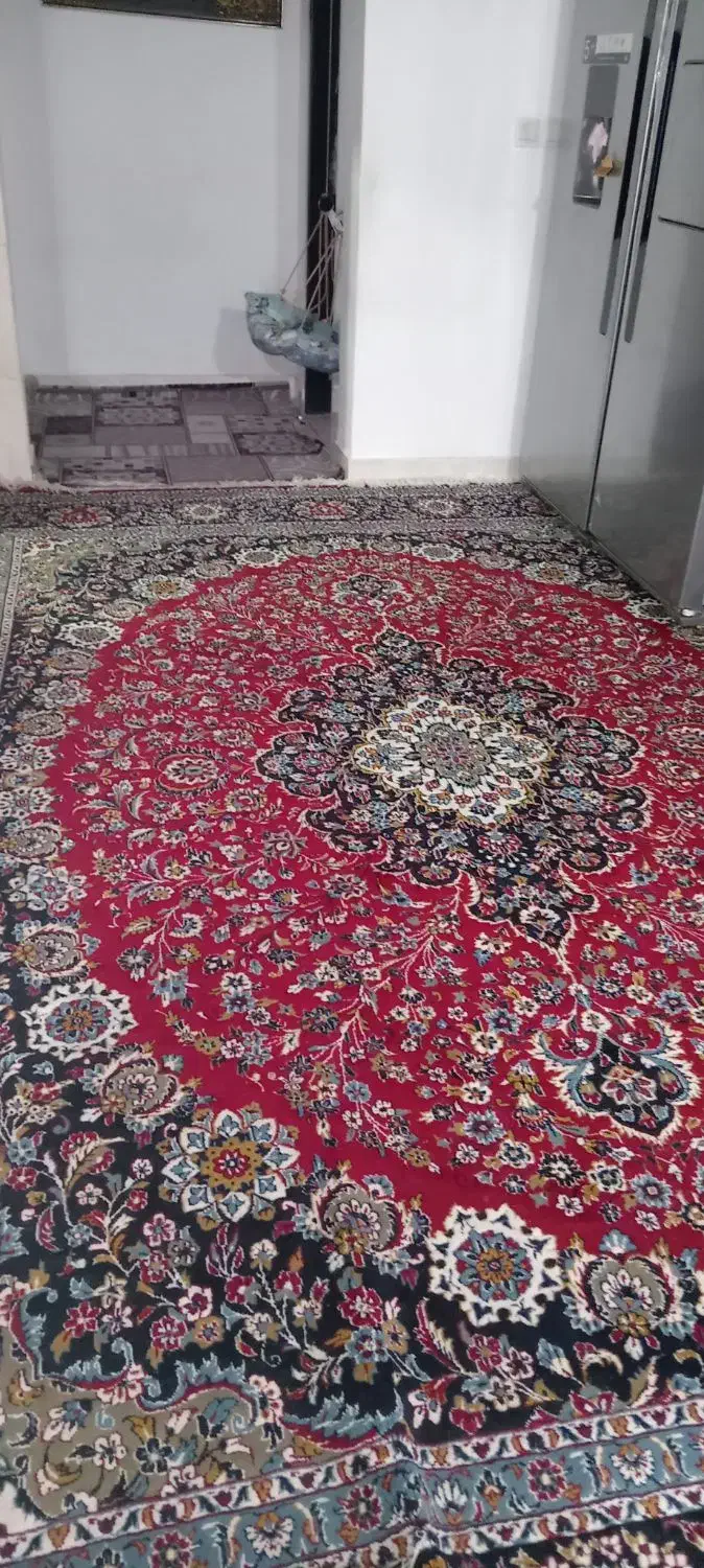 فرش ۱۲ متری لاکی خوش رنگ زیبا تمیز|فرش|گرگان, |دیوار