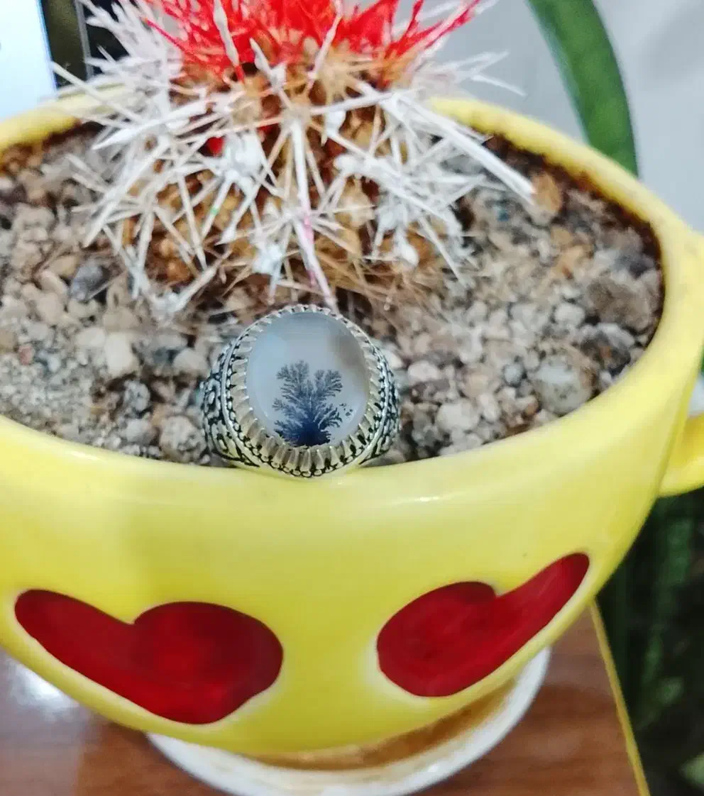 شجر تک درخت|جواهرات|سقز, |دیوار