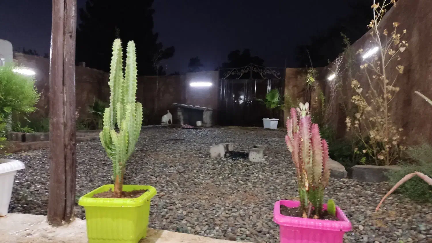 باغچه ۱۷۰متری سنددار شهر ری با بنا ونقدیا معاوضه|فروش زمین و ملک کلنگی|ری, فیروزآباد|دیوار