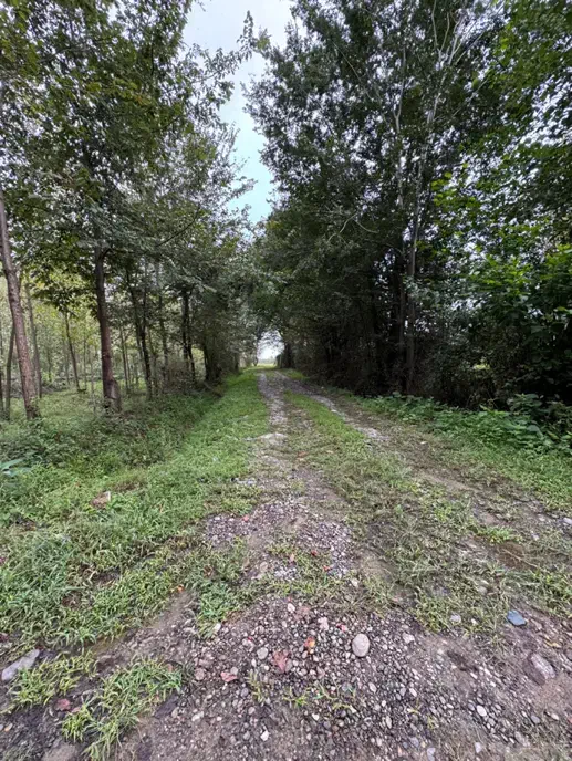 ۲۹۸متر زمین مسکونی (سند تک برگ )|فروش زمین و ملک کلنگی|لاهیجان, لفمجان|دیوار