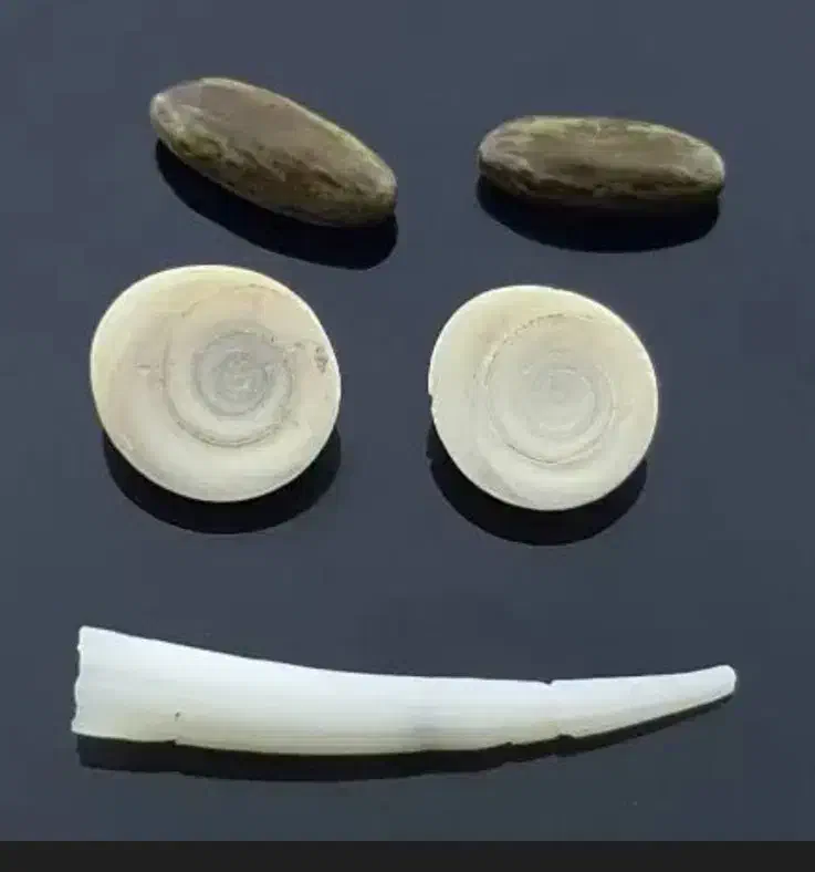 مهره|جواهرات|سنقر, |دیوار